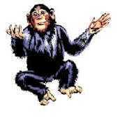 monkey1.gif (10747 bytes)